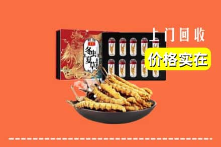 名山区回收冬虫夏草