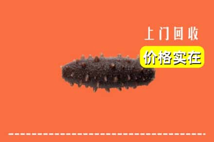 名山区回收海参